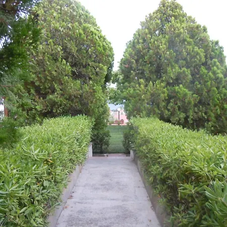 Le Palme Di Riace 2